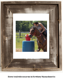 horse trail rides near me in Newbury, Massachusetts